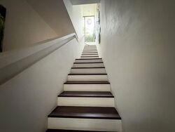 Opera Estate (D15), Terrace #547222961